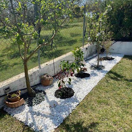 Golden House Apartment Alexandroupoli Exterior photo