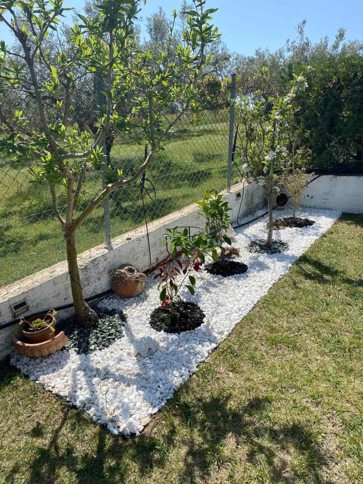 Golden House Apartment Alexandroupoli Exterior photo