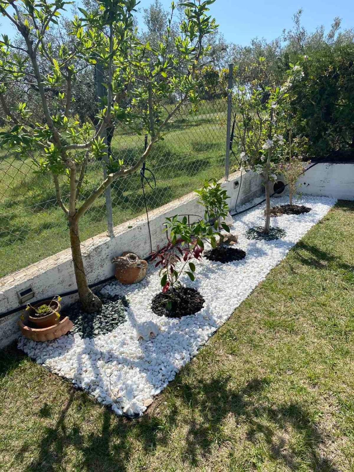 Golden House Apartment Alexandroupoli Exterior photo